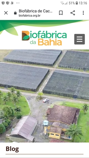 Imagem aérea da Biofábrica de Cacau.