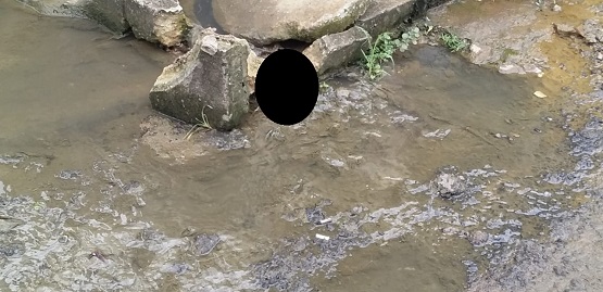 Feto dentro da água de esgoto. 