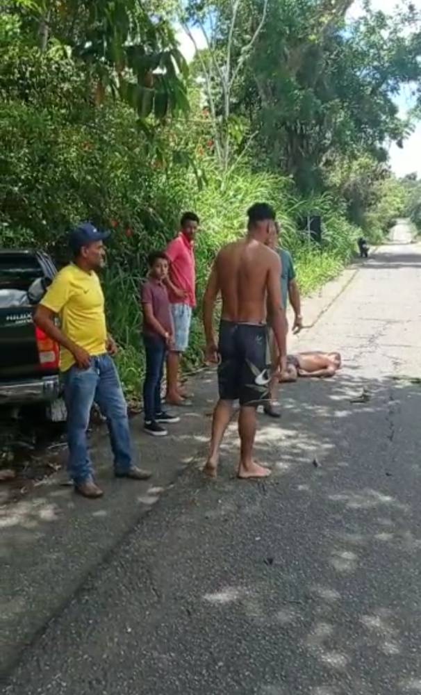 ANIMAIS SÃO ENCONTRADOS MORTOS EM RODOVIA ILHÉUS/SERRA GRANDE - ILHÉUS 24H  :: Porque a notícia não para.